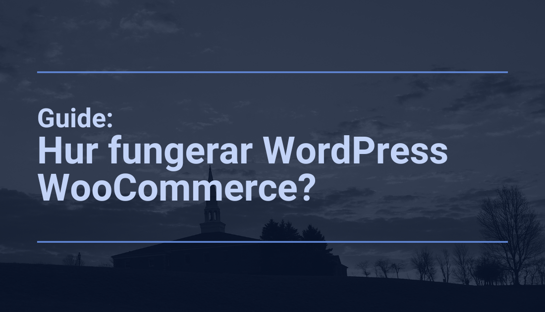 Betydelsefull Guide: Hur fungerar WordPress WooCommerce?